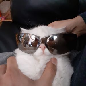 Meet your Posher, Rubina